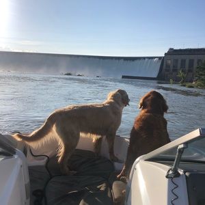 Meet your Posher, Willow